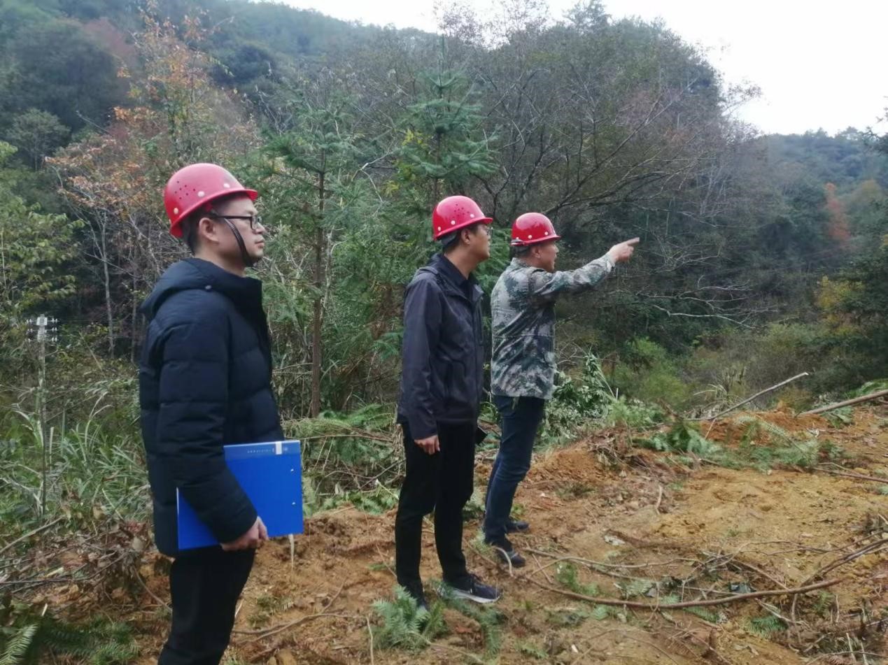 全面強化安全責任，嚴守森林防火線——福建金森全力保障生產安全