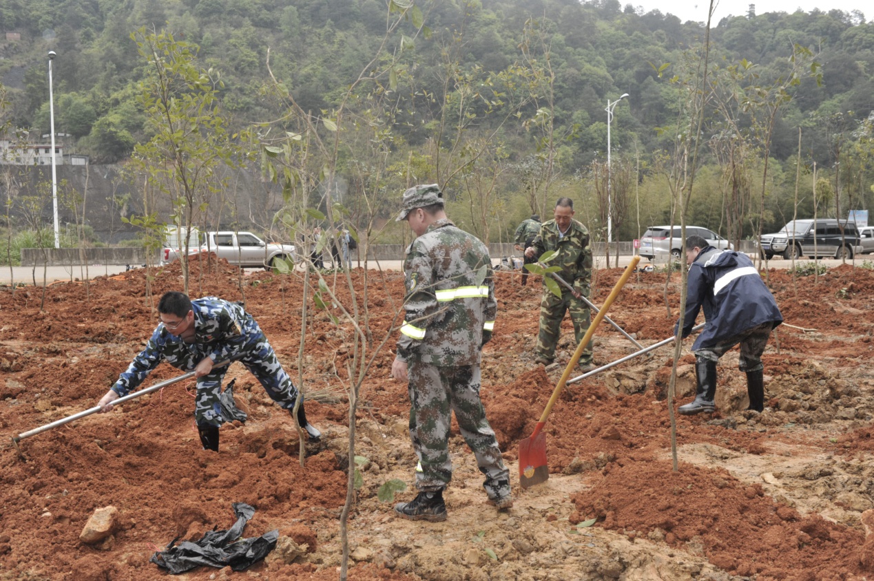 陽(yáng)春三月雨，正是植樹(shù)好時(shí)節(jié)