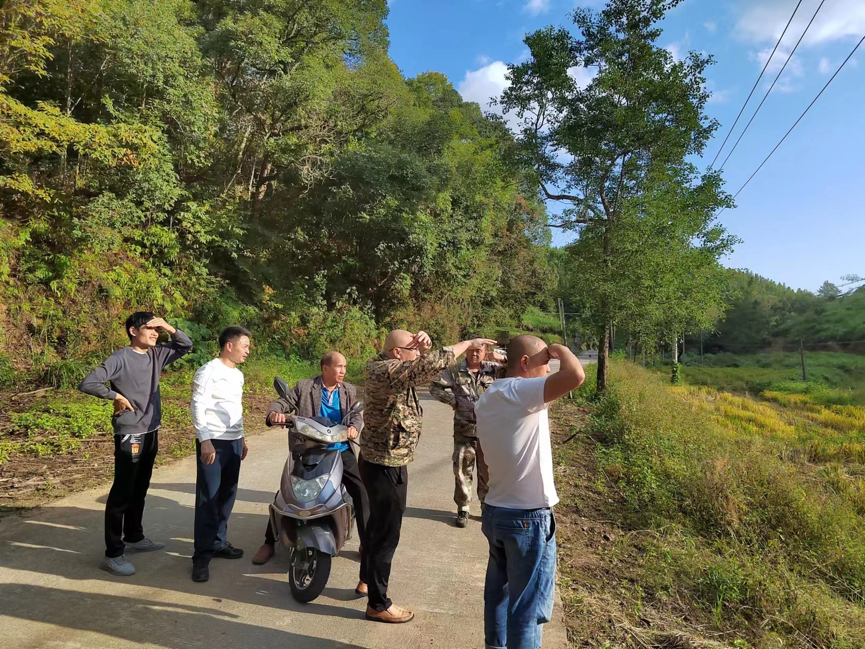 【主題教育·我在崗位做貢獻】 推進村企合作造林，助力鄉村振興