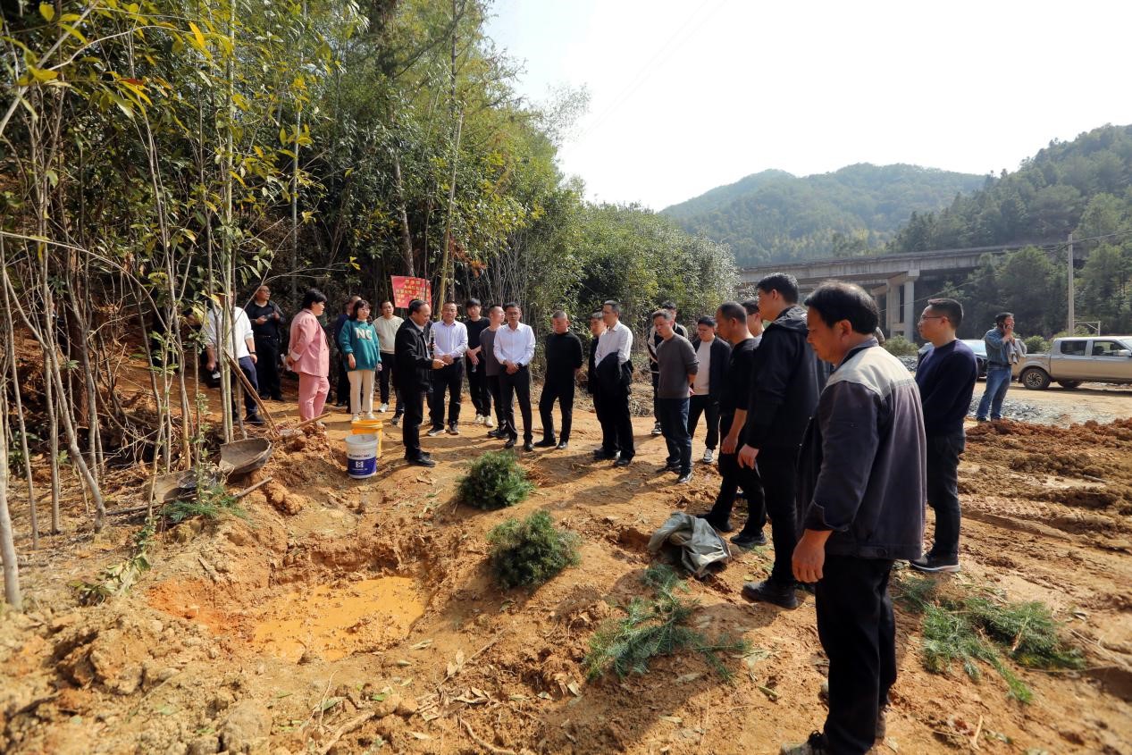 不負(fù)春光好，搶播萬畝林 ——將樂縣村企合作造林工作現(xiàn)場會在福建金森召開