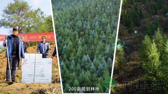 全國首個!!!“滬明杏林”醫(yī)療碳匯林項(xiàng)目成功啟動 福建金森攜手多方共推醫(yī)療與生態(tài)融合發(fā)展新范式 全國首個!!!“滬明杏林”醫(yī)療碳匯林項(xiàng)目成功啟動 福建金森攜手多方共推醫(yī)療與生態(tài)融合發(fā)展新范式